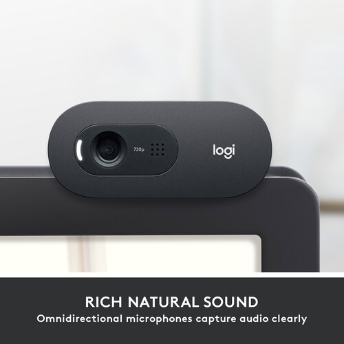 Logitech C505e HD WebCam
